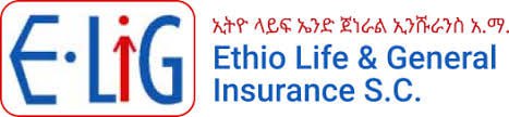 Insurance 8